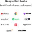WiiM Pro AirPlay 2 Receiver, Google Cast Audio, WiFi Multiroom Streamer, Συμβατό με Alexa, Siri και Google Assistant, ροή ήχου υψηλής ανάλυσης από Spotify, Amazon Music, Tidal και άλλα - Image 4