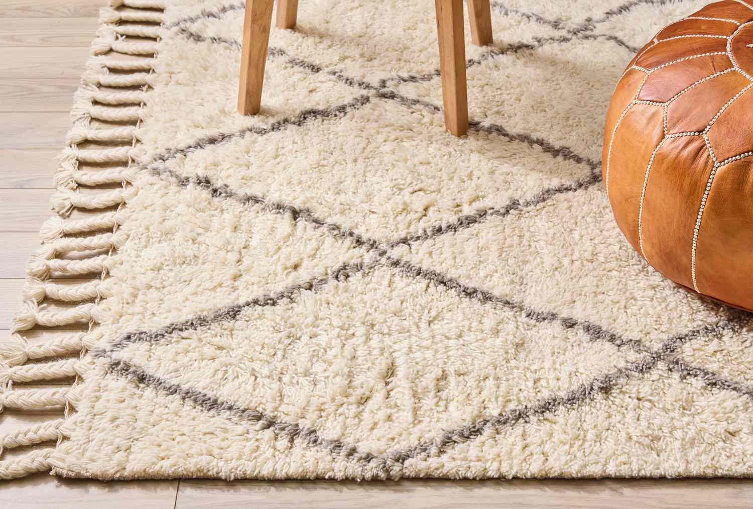 Shag rug on floor