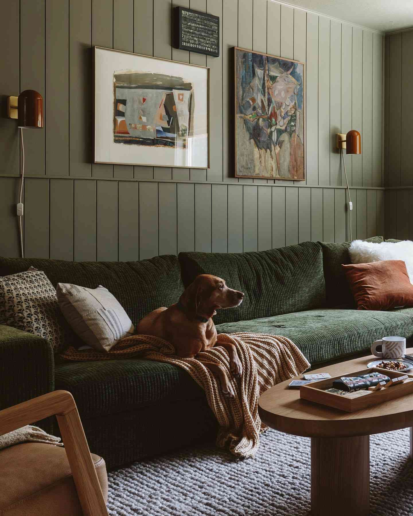 sage green living room with painted bead board and velvet couch