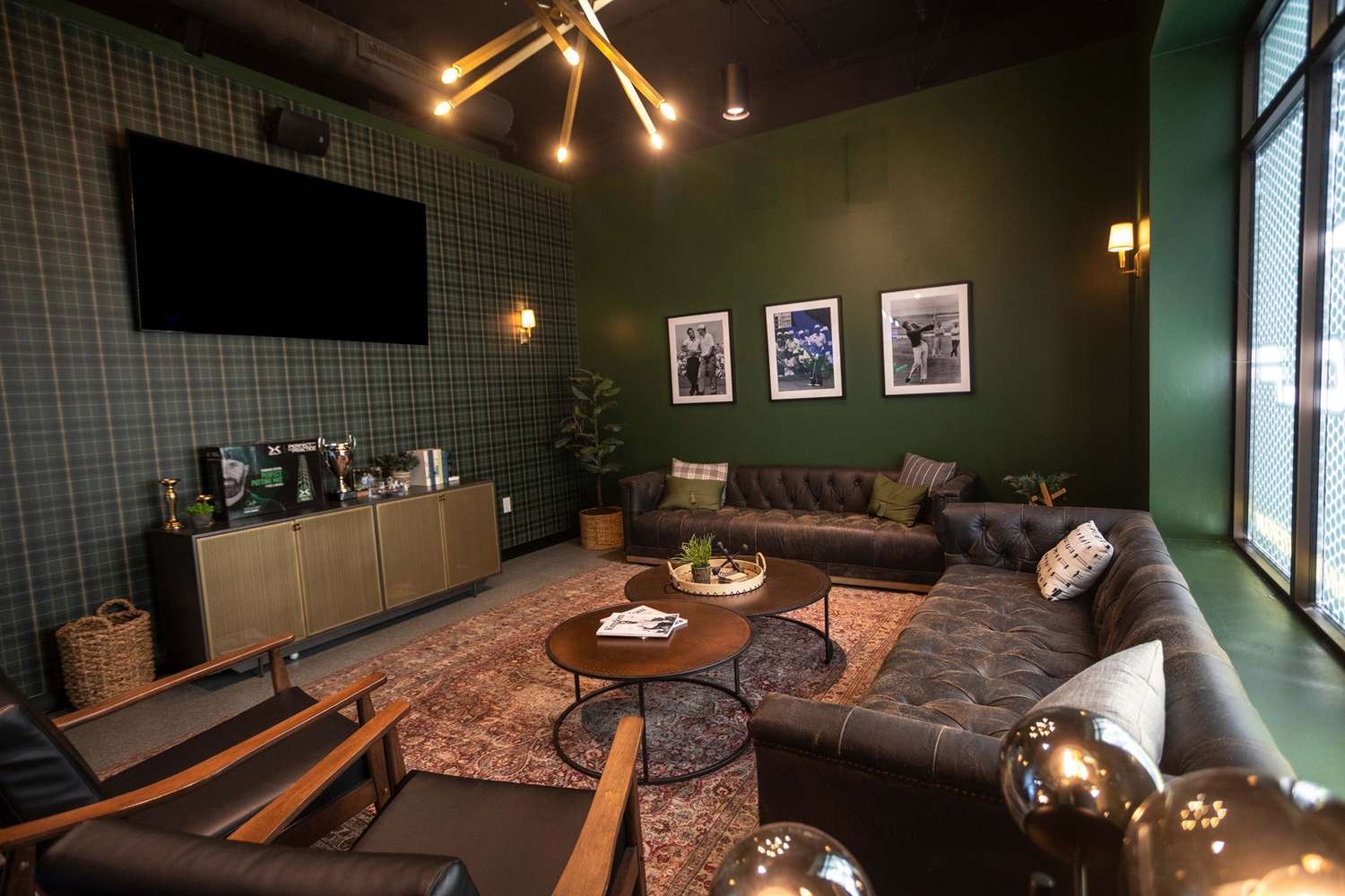 moody dark sage green living room