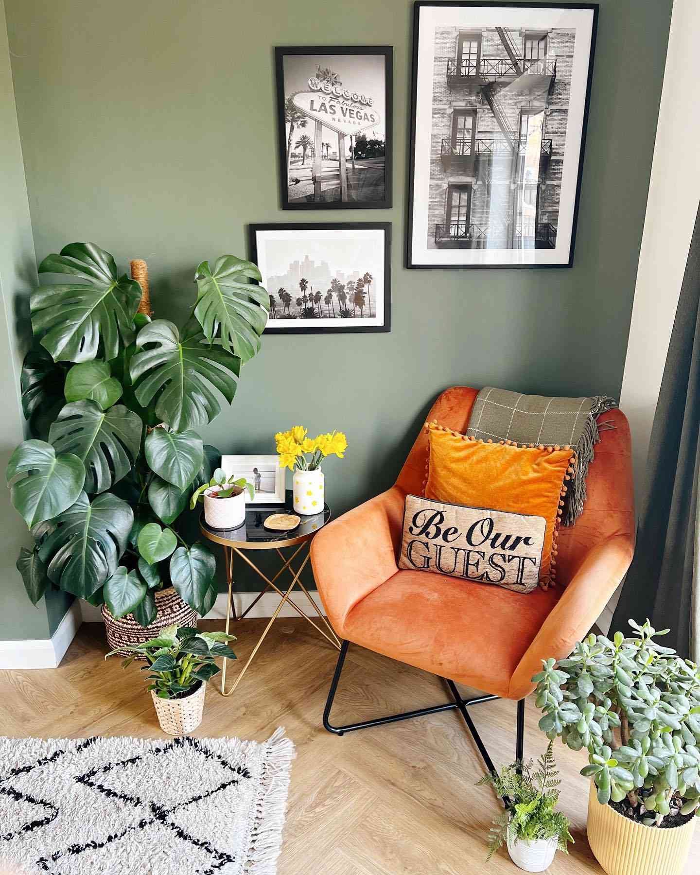 sage green living room corner with plants