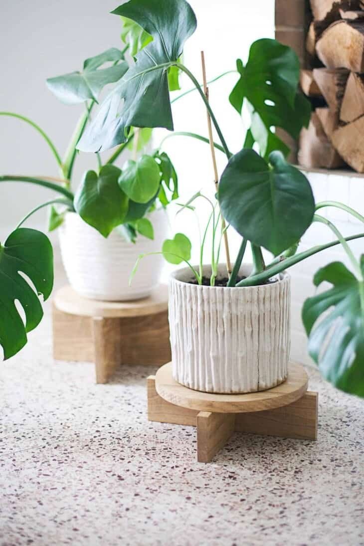 A simple wooden plant stand holding up a plant