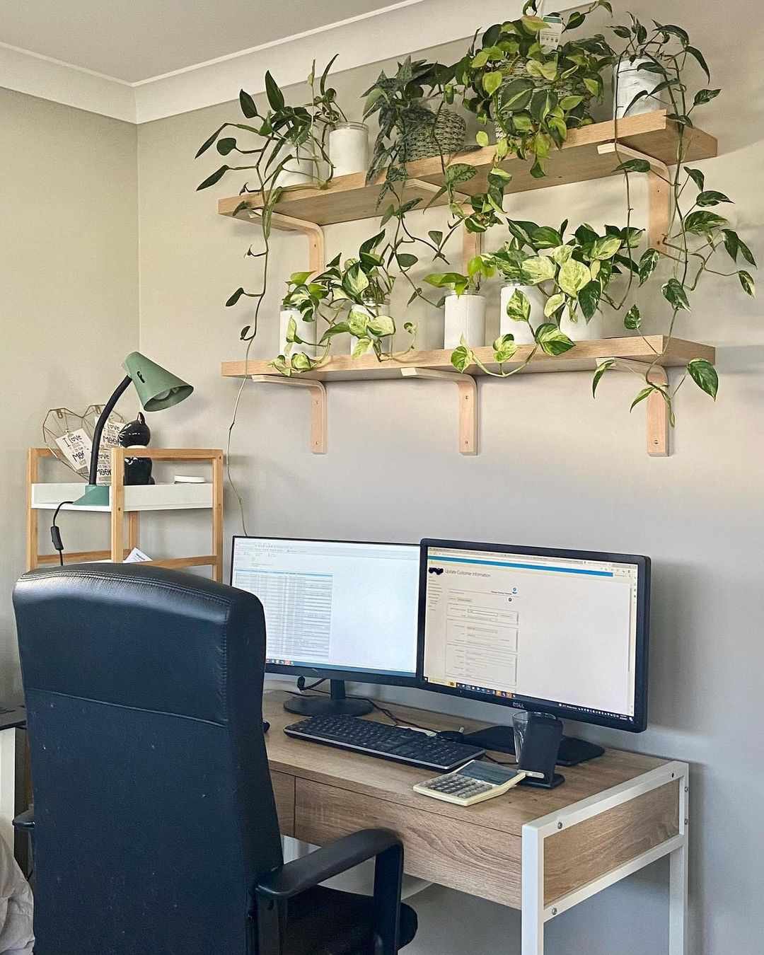 wooden plant shelves